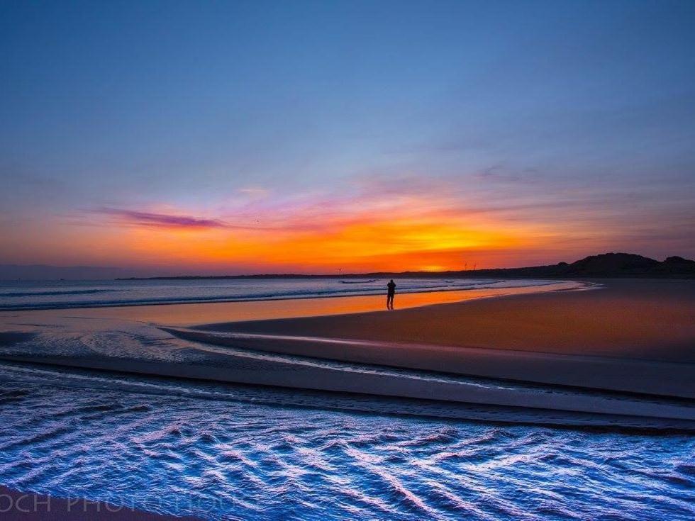 Pew With A View - Seafront Cottages Sandhaven Exteriér fotografie